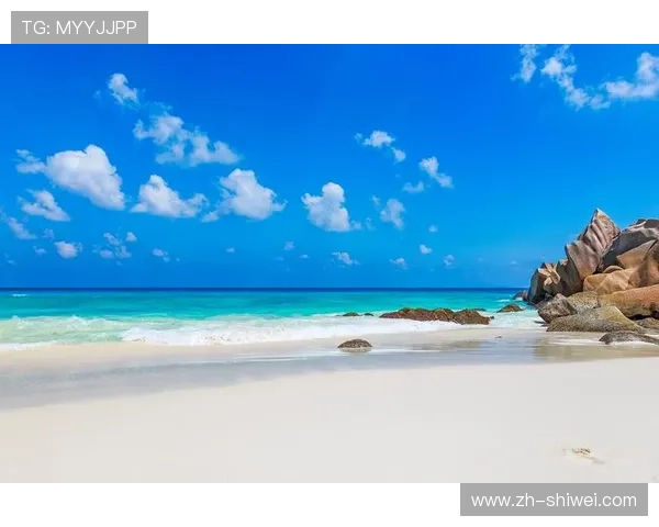 海星体育手机官方地址的重要性及其影响分析