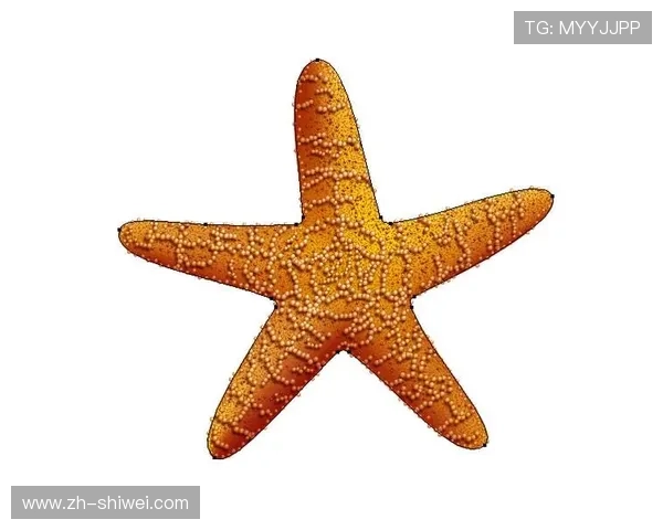 海星娱乐官网注册——轻松注册海星平台，尽享会员专属福利