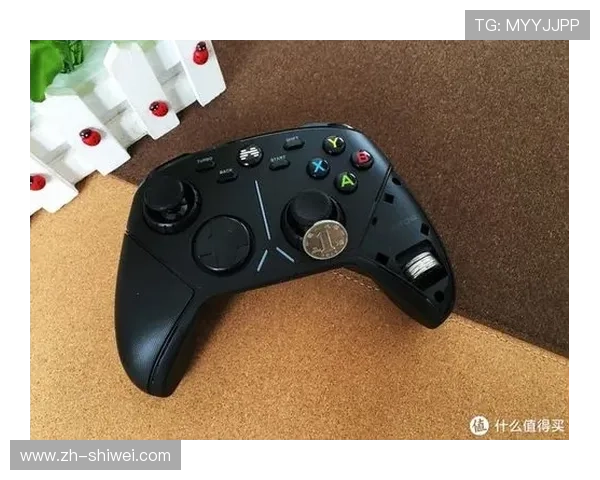 畅享游戏的乐趣：亚博YaBo在线地址登录技巧