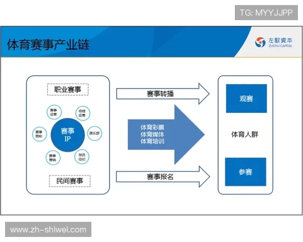 分析e星体育官网在体育娱乐产业中的角色与未来发展潜力