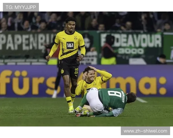 v体育官网入口真人游戏最新攻略，全面解析高效登录与安全保障方法